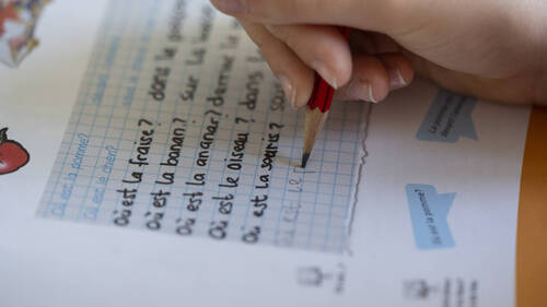 Enseignants bâlois et soleurois divisés sur le français au primaire