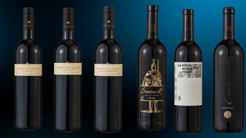 vins 2024 - asemblages rouges