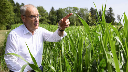Manque de fourrage: Guy Parmelin visite une exploitation vaudoise