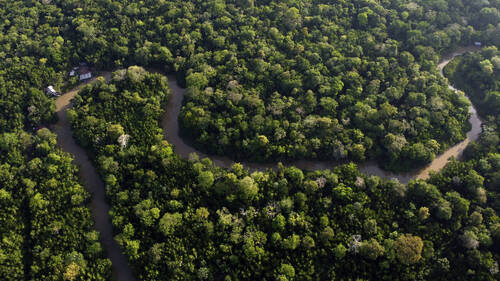 La déforestation en Amazonie au plus bas depuis 1988