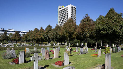 La Ville de Berne autorise l'inhumation avec son animal domestique