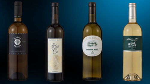 vins 2024 - sauvgignon