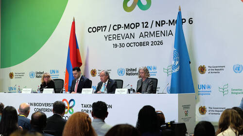 COP17: le monde adopte plusieurs textes pour protéger la nature