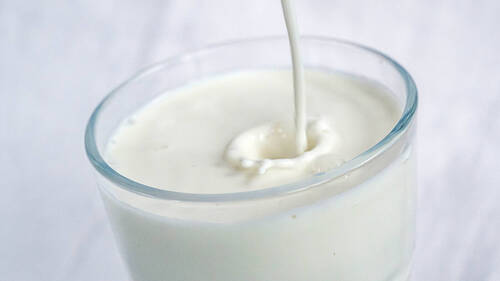 L'EPFL trouve des composés du caoutchouc dans du lait