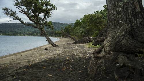 Séisme de magnitude 7,2 au large du Vanuatu, alerte au tsunami