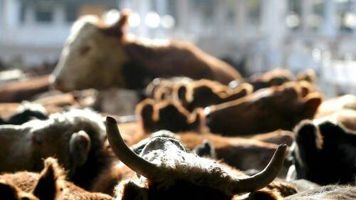 Le Conseil des Etats valide l'accord avec le Mercosur