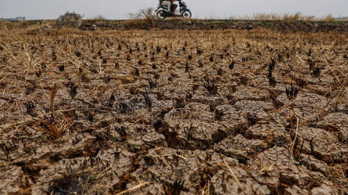 Europe: stress thermique record lors de cet été, le plus chaud