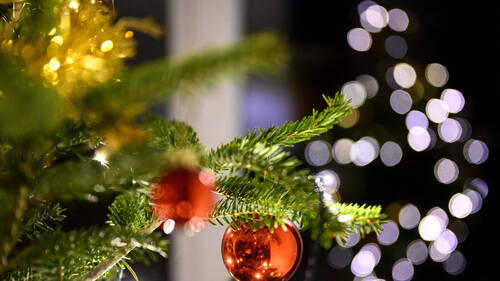 La Main Tendue lance une campagne de sensibilisation à Genève