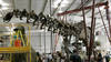 Squelette géant de dinosaure vendu 4,7 millions d'euros en France