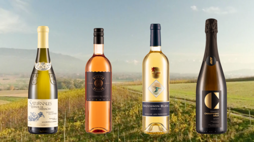 Copie de vins - couverture