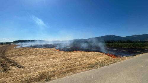 Champ de chaume en feu à Deitingen (SO): 200 ares en fumée