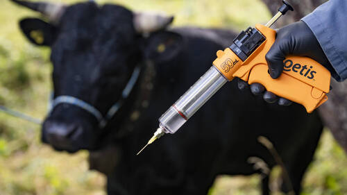 France: agriculteurs mécontents de la stratégie face à la DNC