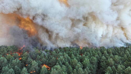 Incendie hors norme dans une forêt près de Paris