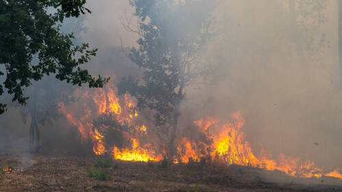 Incendies en France: nouvelles évacuations près de Bordeaux