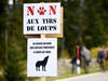 Meute du Marchairuz: un premier loup tué dans le canton de Vaud