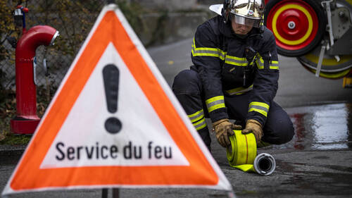 Environ 250 bovins périssent dans un incendie à Palézieux