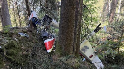 Le pilote d'un planeur meurt dans un crash à Reichenburg (SZ)