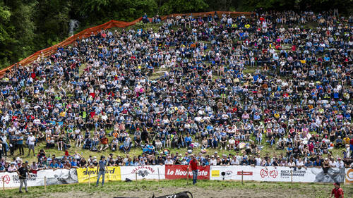 Combats de reines: le Haut-Valais organise la Finale nationale