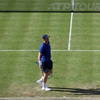 Blessé, Murray est incertain pour Wimbledon