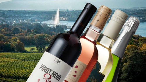 Vins 2026 - couverture