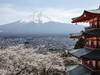 Le Japon se rouvre prudemment à une poignée de touristes étrangers