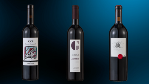 vins 2024 - garanoir