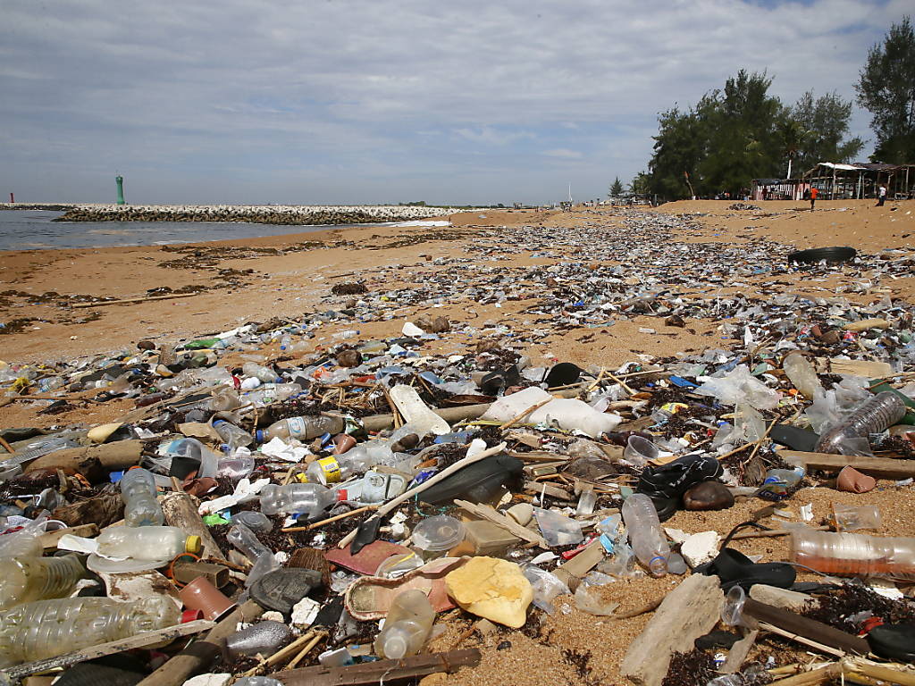 Coca Et Nestlé Parmi Les Plus Gros Pollueurs De Plastique Au Monde 3709