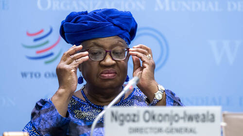 OMC: le moratoire sur l'e-commerce sera la clé de la ministérielle