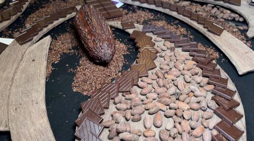 rallye chocolat