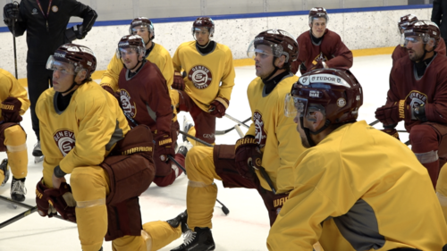 GSHC