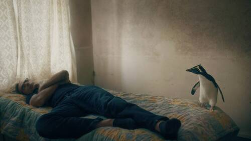 La Suisse marque le "Panorama" de la Berlinale