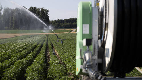 Les agriculteurs face au défi de la canicule