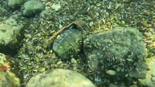 Des baigneurs trouvent une grenade à main dans la Limmat à Zurich