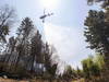 Nouvelle aide de pompiers de l'étranger pour combattre les feux de forêt au Canada