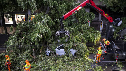 Violents orages: des blessés suite à la chute d'arbres à Zurich