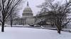 Les Etats-Unis balayés par une tempête hivernale: cinq morts