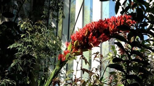 Jardin botanique