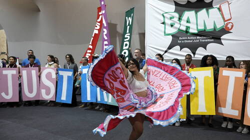 Les ONG estiment que la Suisse a un devoir à remplir après la COP30