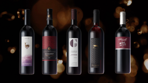 Vins 2026 - gamaret garanoir divico
