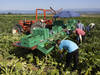 Revenu agricole en hausse en 2021, perspectives plus sombres