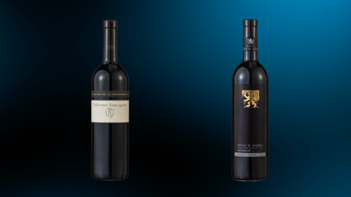 vins 2024 - cavenert sauvginon