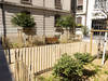 La Ville de Genève transforme une cour en îlot de fraîcheur