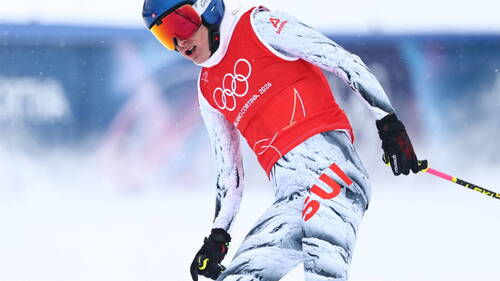 Alex Fiva et Fanny Smith ont dû se contenter de places d'honneur