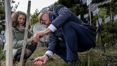 Martin Pfister et Matthias Bellwald sur la vigne à Farinet