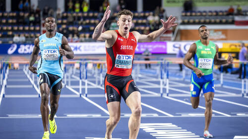 Ehammer en or avec le record du monde de l'heptathlon