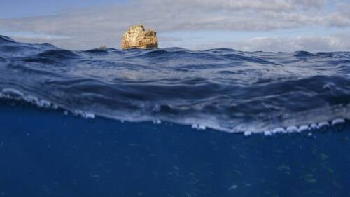 Océans près des records de chaleur avant même le retour d'El Niño