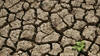 Objectif climatique 2040: déjà des embûches au Parlement européen