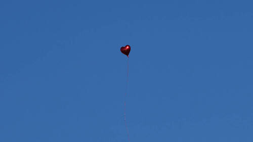 De Berlin à Bialowieza, un petit ballon parcourt 900 kilomètres