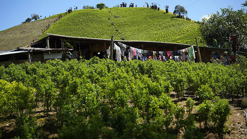 La Colombie reconnaît l'échec de sa politique de "paix totale"