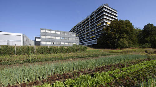 Genève célèbre l'agriculture urbaine pendant 48 heures
